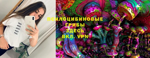 PSILOCYBIN Магас