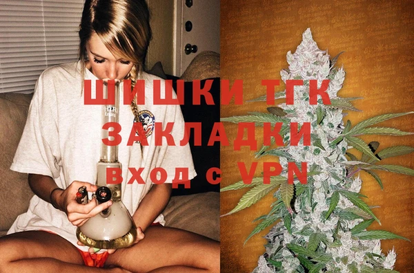 стафф Апатиты