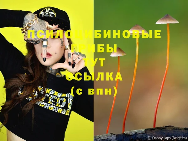 крисы Майский