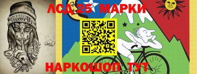 Альфа ПВП Камышлов