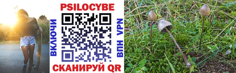 где купить наркотик KRAKEN онион Галлюциногенные грибы Magic Shrooms Людиново