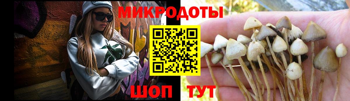 Псилоцибиновые грибы Cubensis Людиново